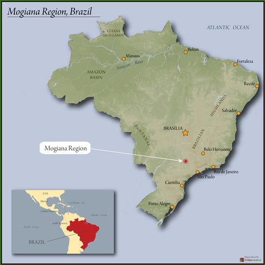Brazil - Single Origin (Wholesale)